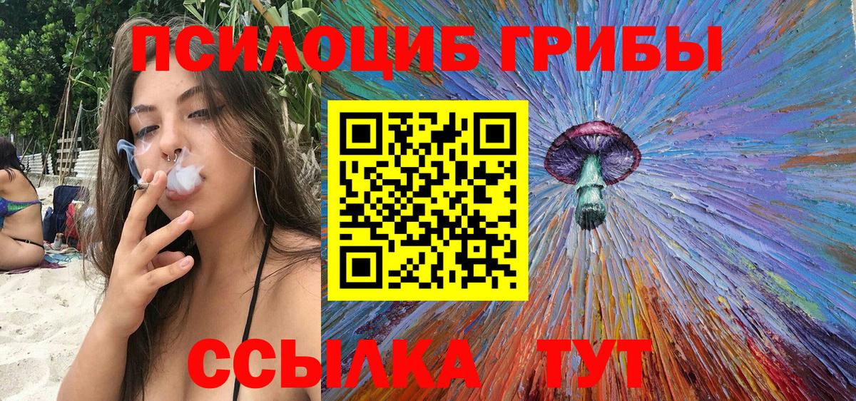 Псилоцибиновые грибы прущие грибы  цены наркотик  Унеча 