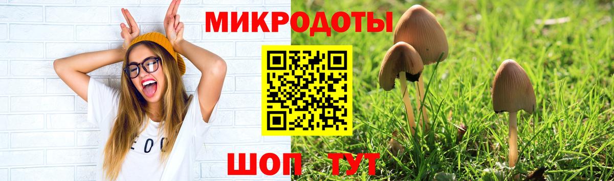 Унеча  Галлюциногенные грибы прущие грибы  Вход с VPN 